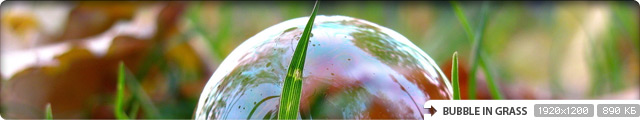 Bubble in Grass