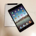 Появились фото задней панели iPad mini