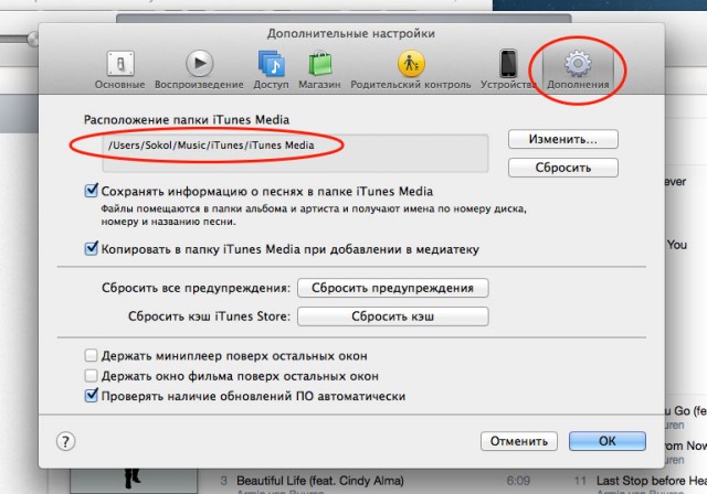 директория iTunes Media