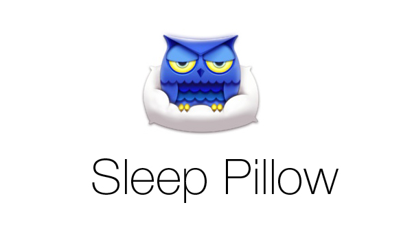Sleep Pillow