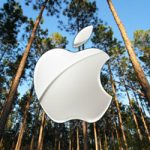 Apple купила 36000 акров леса