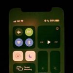 Владельцы iPhone 11 жалуются на зеленый экран при разблокировке смартфона