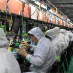 Массовое производство iPhone 15 должно начаться до конца июня